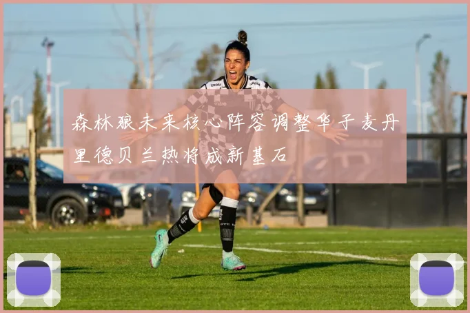 森林狼未来核心阵容调整华子麦丹里德贝兰热将成新基石