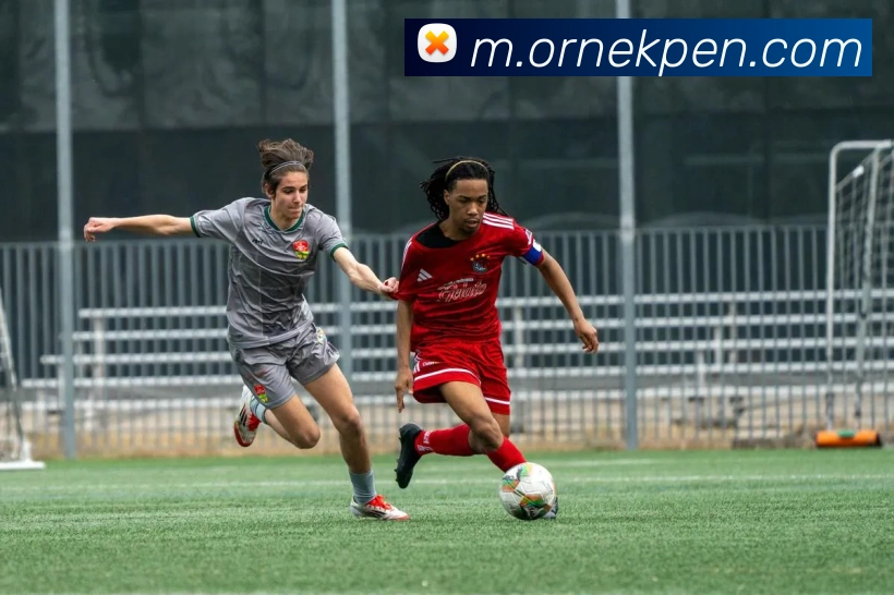 奖项证书